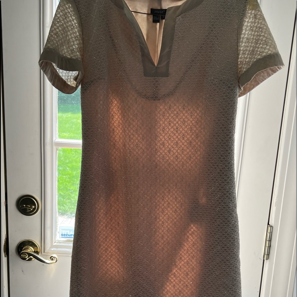 Muse Size 2 Tan Dress